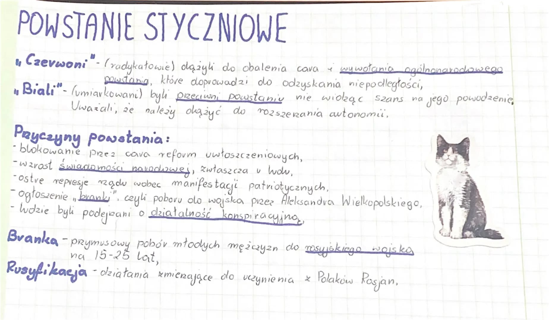 POWSTANIE STYCZNIOWE
1, Czevwoni"- (radykałowie) dążyli do obalenia cava i wywołania ogólnonarodowego
powstania, które doprowadzi do odzyska