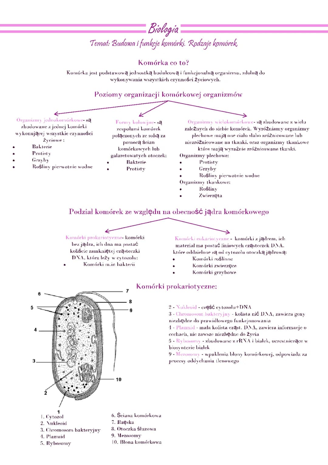 Biologia klasa 1 liceum - Komórki i błony biologiczne 