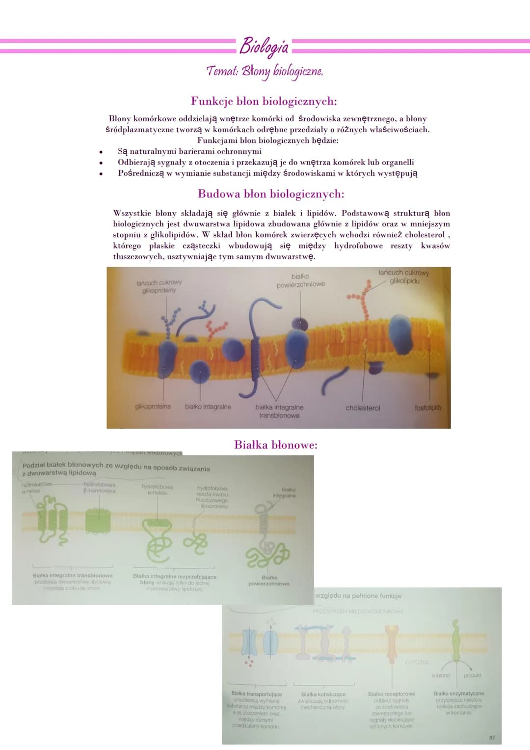 Biologia
Temat: Budowa i funkcje komórki. Rodzaje komórek
Organizmy jednokomórkowe- są
zbudowane z jednej komórki
wykonującej wszystkie czyn