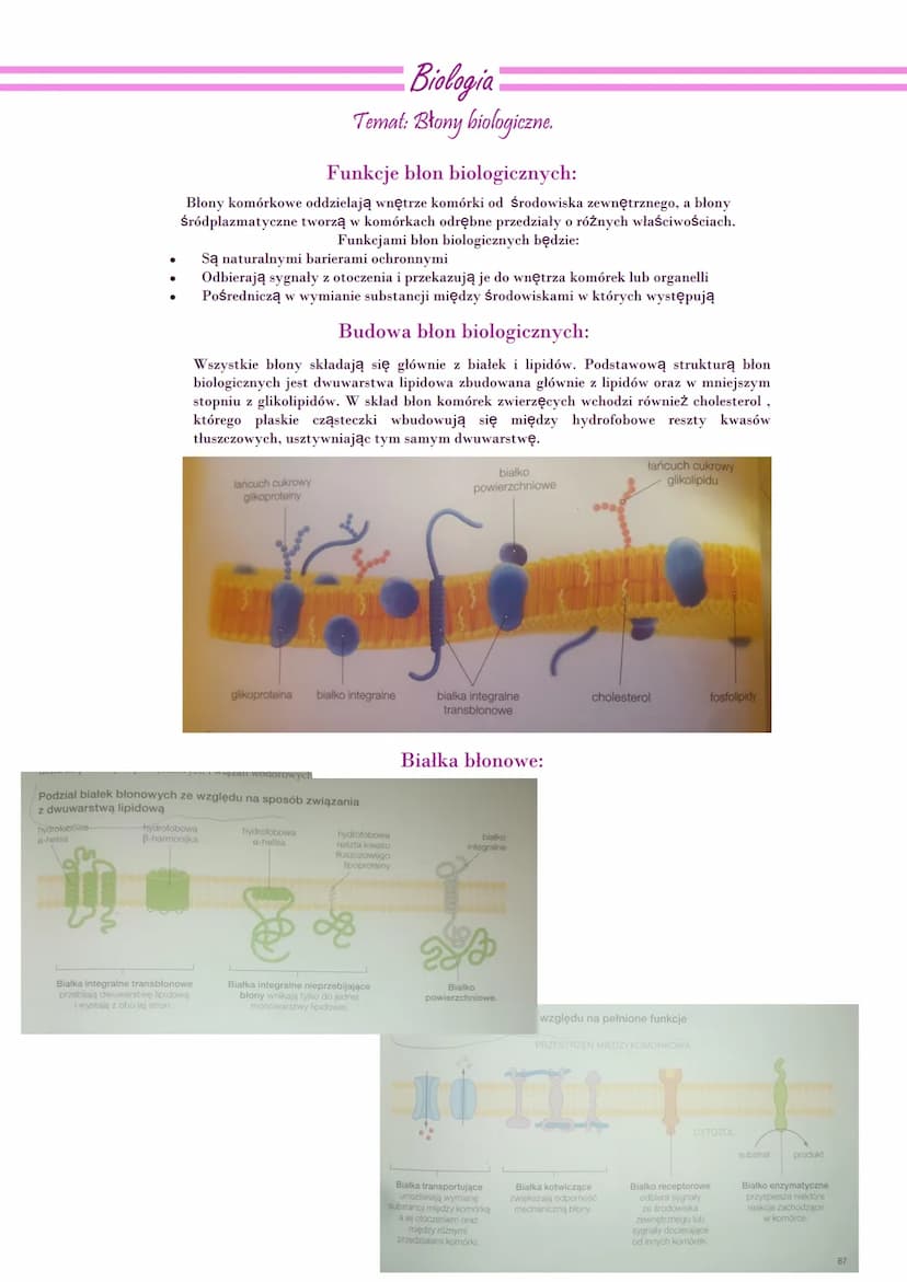 Biologia
Temat: Budowa i funkcje komórki. Rodzaje komórek
Organizmy jednokomórkowe- są
zbudowane z jednej komórki
wykonującej wszystkie czyn