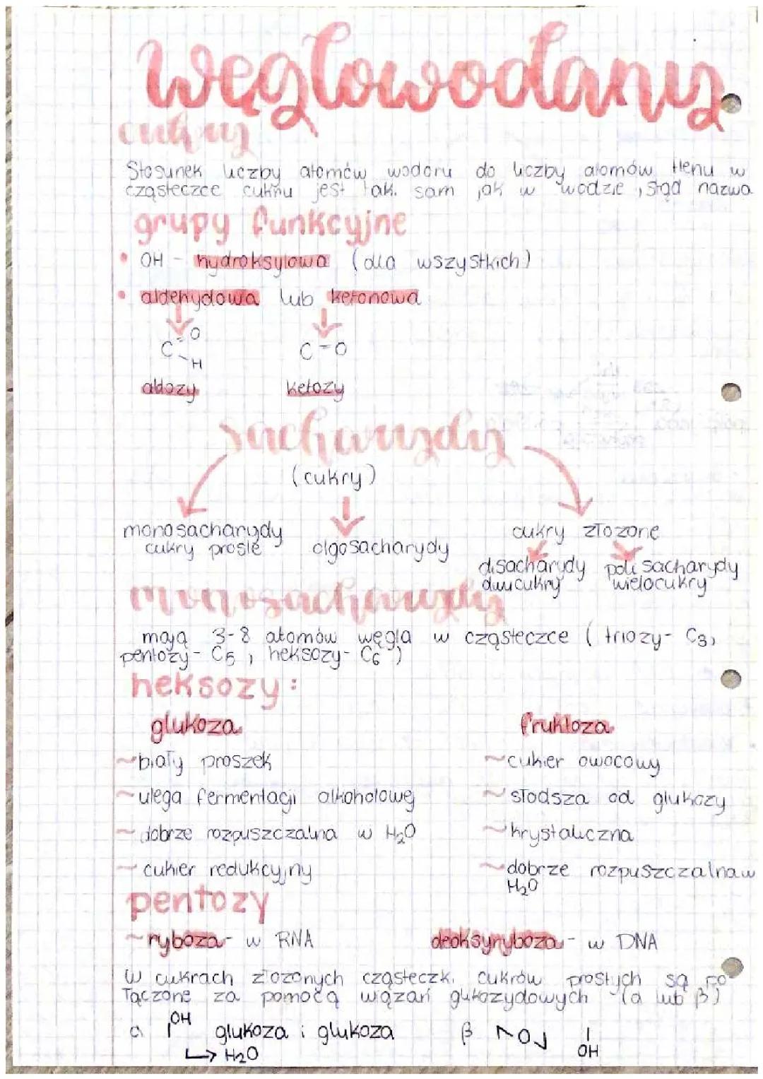 Węglowodany i Cukry - Podstawowe Informacje