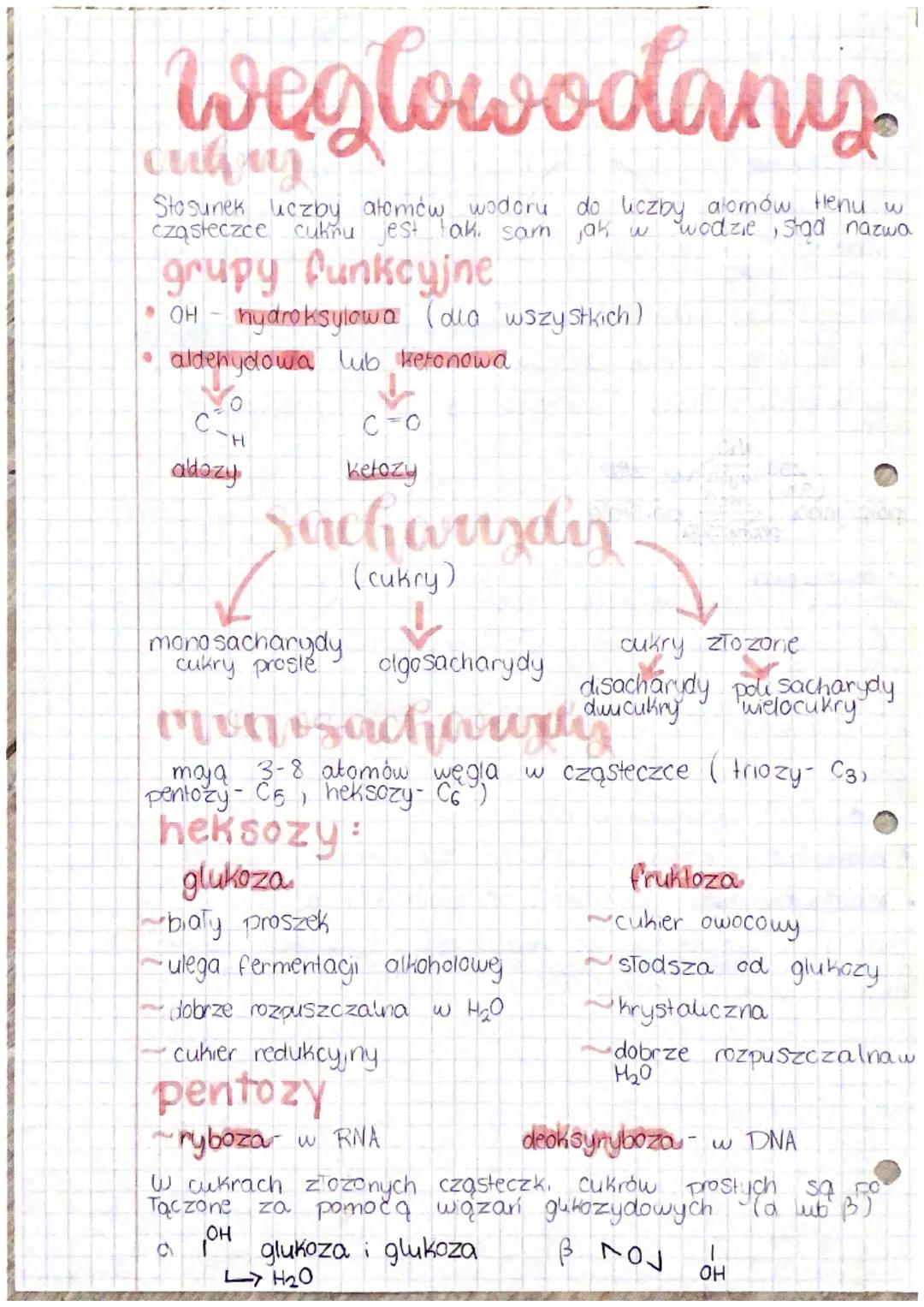 węglowodany.
culus
Stosunek hozby atomów wodory do liczby atomów flenu w
cząsteczce cukňu jest taki sam jak w wodzie, stąd nazwa
grupy funkc