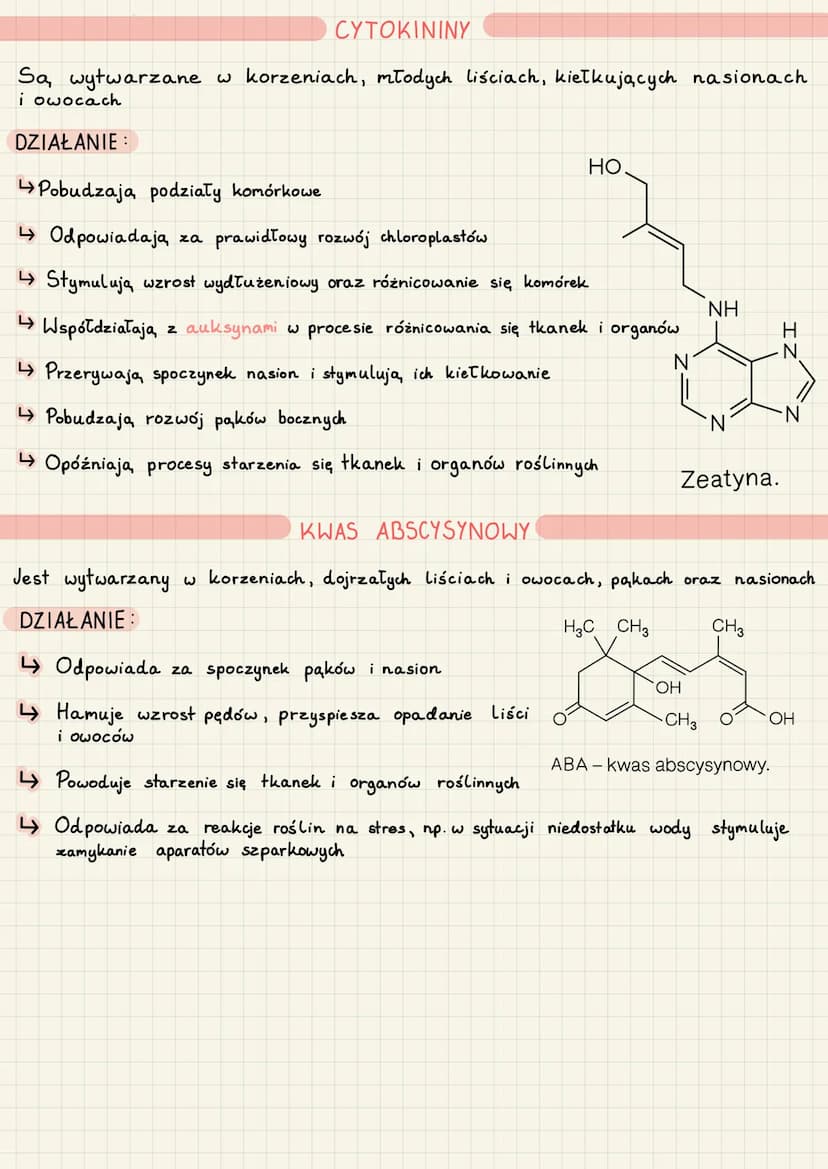 HORMONY ROŚLINNE
Procesy fizjologiczne, które prowadzą do wzrostu i rozwoju roślin, są regulowane
przez związki chemiczne zwane regulatorami