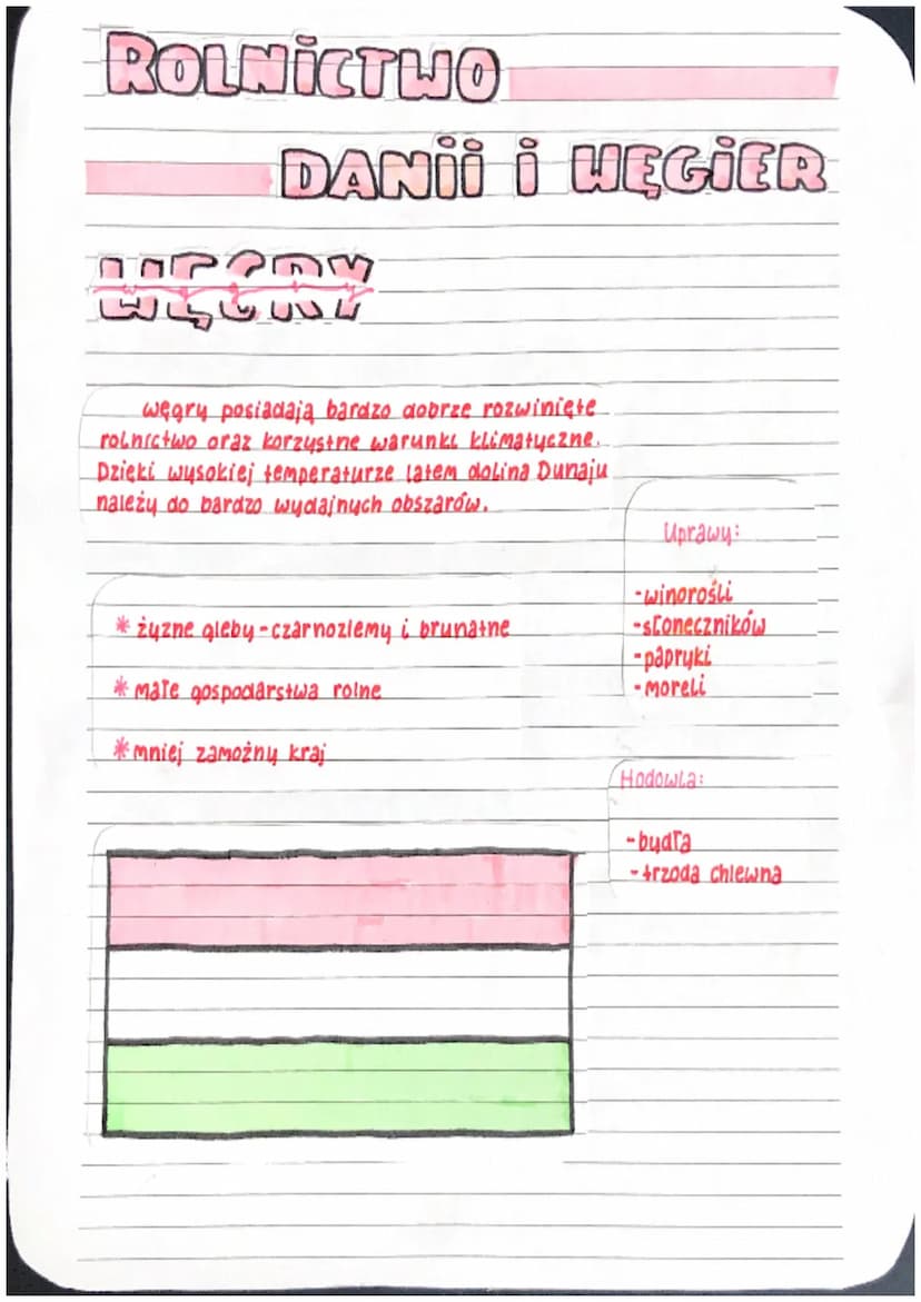 ROLNICTLIO
DANII I WĘGIER
İ
ROLNICTWO
to dzial gospodarki, który obejmuje uprawę roślin oraz
chów i hodowlę zwierząt gospodarskich. Głównym
