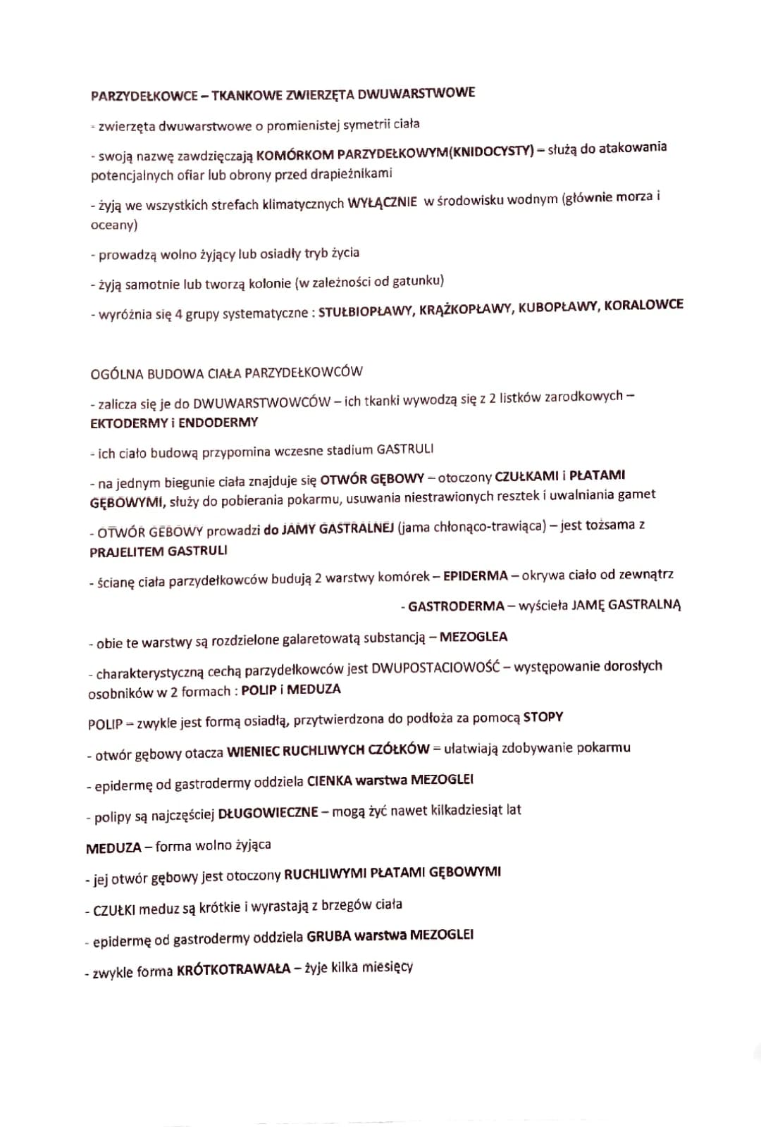 Różnorodność bezkręgowców 