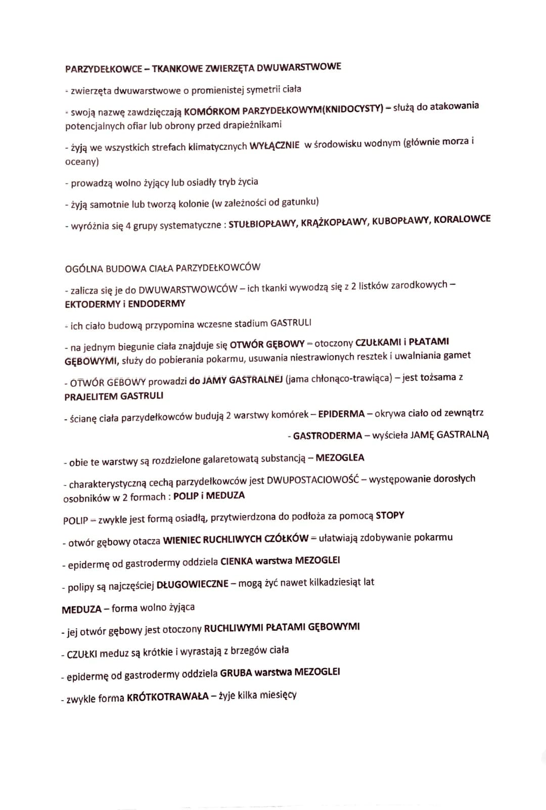 PARZYDEŁKOWCE - TKANKOWE ZWIERZĘTA DWUWARSTWOWE
- zwierzęta dwuwarstwowe o promienistej symetrii ciała
- swoją nazwę zawdzięczają KOMÓRKOM P