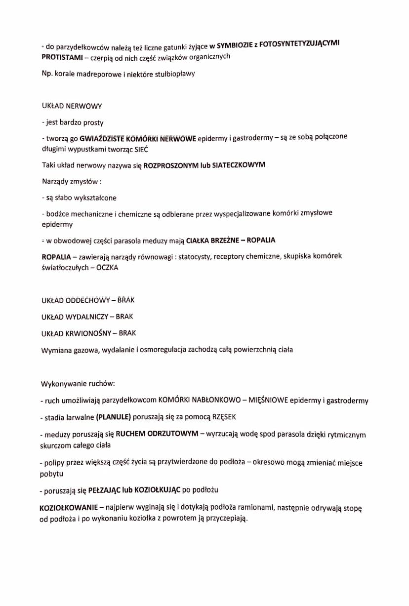 PARZYDEŁKOWCE - TKANKOWE ZWIERZĘTA DWUWARSTWOWE
- zwierzęta dwuwarstwowe o promienistej symetrii ciała
- swoją nazwę zawdzięczają KOMÓRKOM P