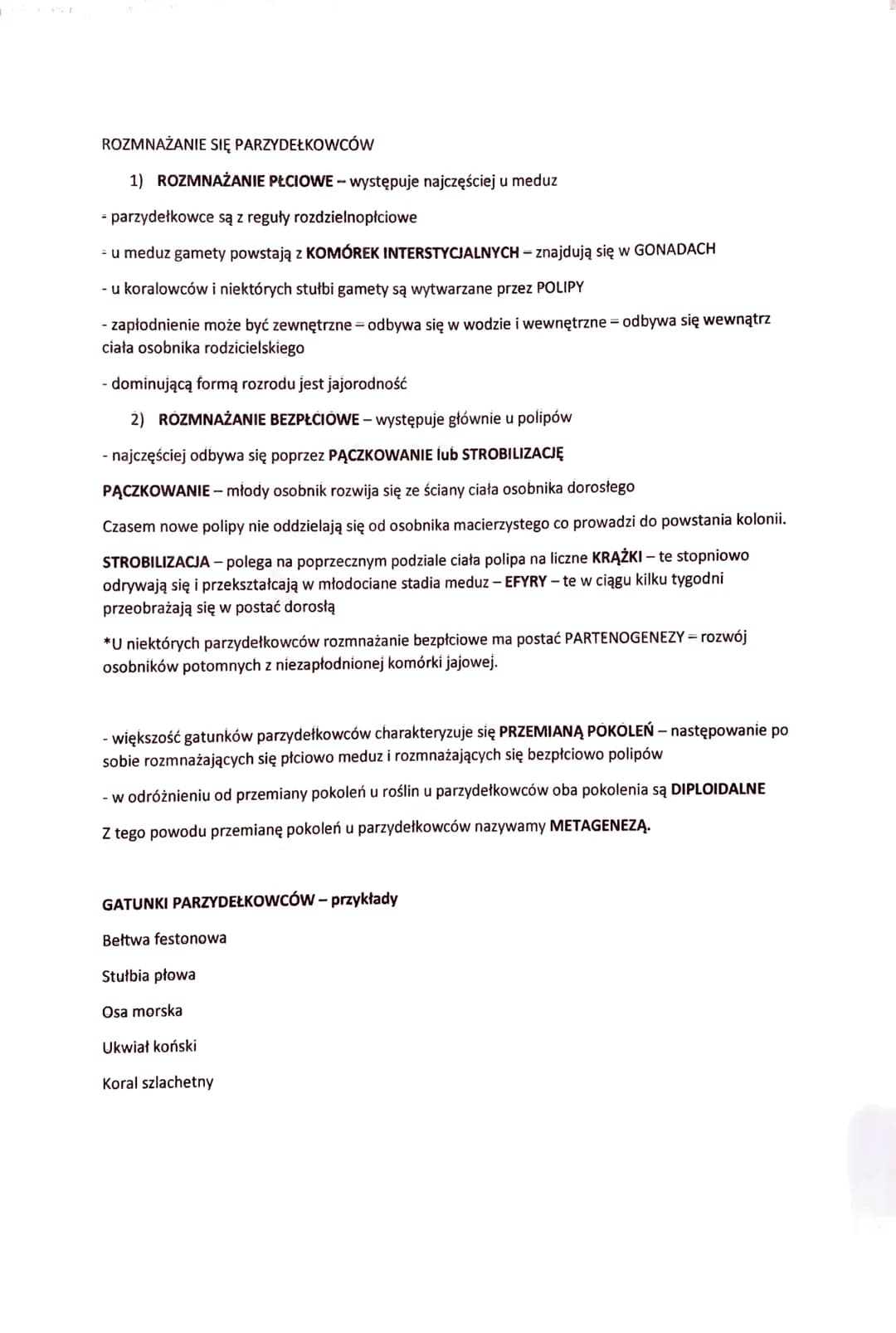 PARZYDEŁKOWCE - TKANKOWE ZWIERZĘTA DWUWARSTWOWE
- zwierzęta dwuwarstwowe o promienistej symetrii ciała
- swoją nazwę zawdzięczają KOMÓRKOM P