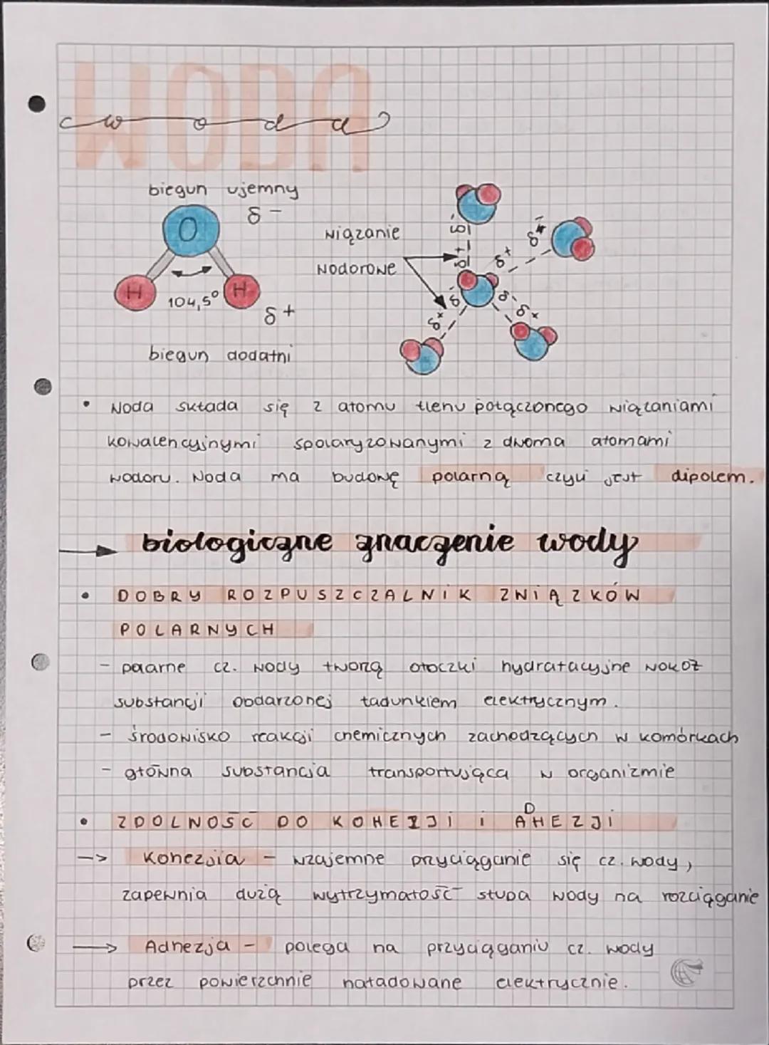 C
w
oda

biegun ujemny
$
\delta-$

0
wiązanie

201
ol
Nodorowe

H
104,50
P
$
\delta+$
δ
biegun dodatni

*   Noda składa się 2 atomu tlenu po