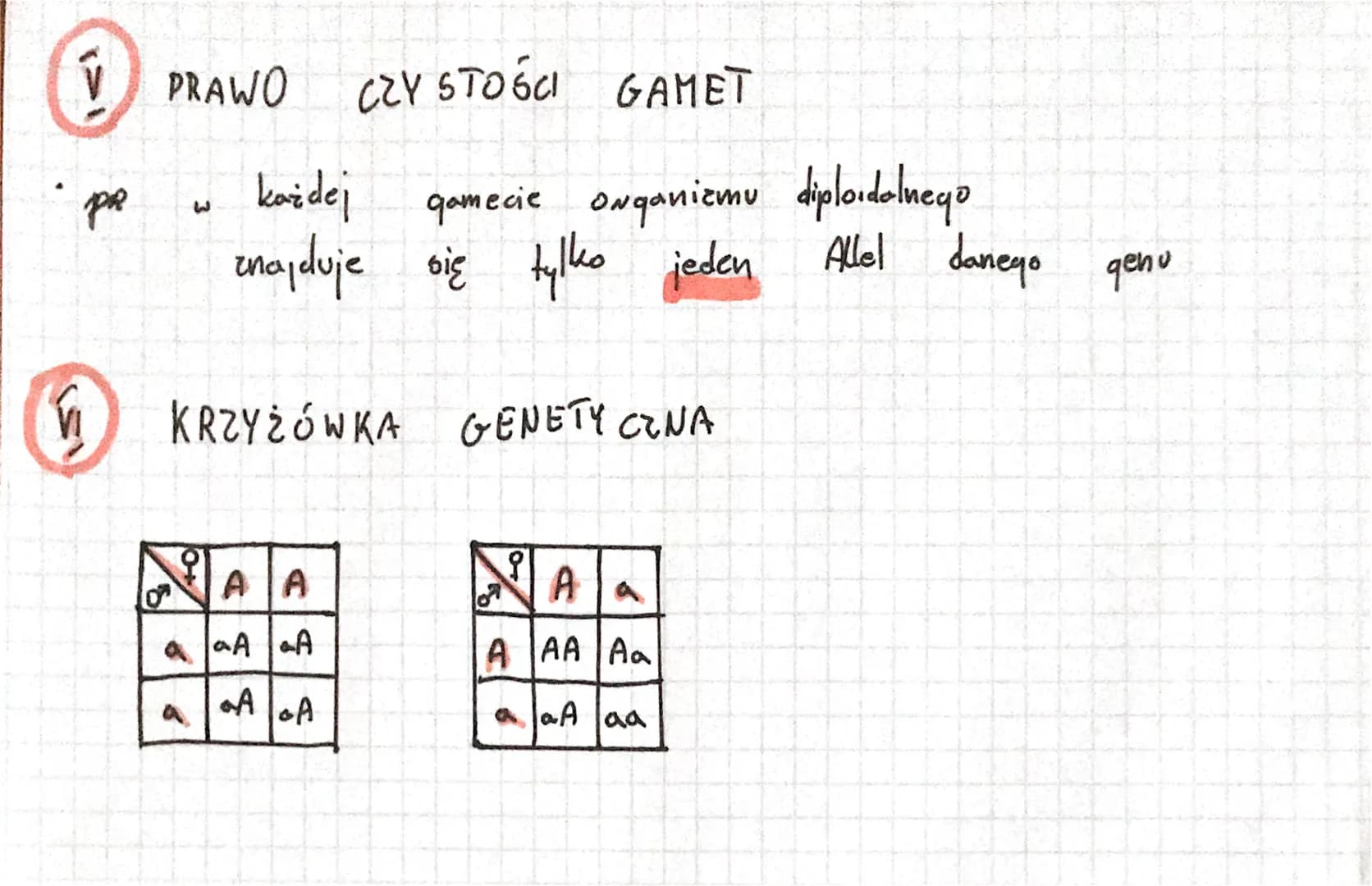 3
↑ Allel dominujący
odpowiedzialny
1
oznacza
BIOLOGIA
mo
ча wystepowanie
cechy dominującej
się go dużą literą
up "A"
homozygota dominująca
