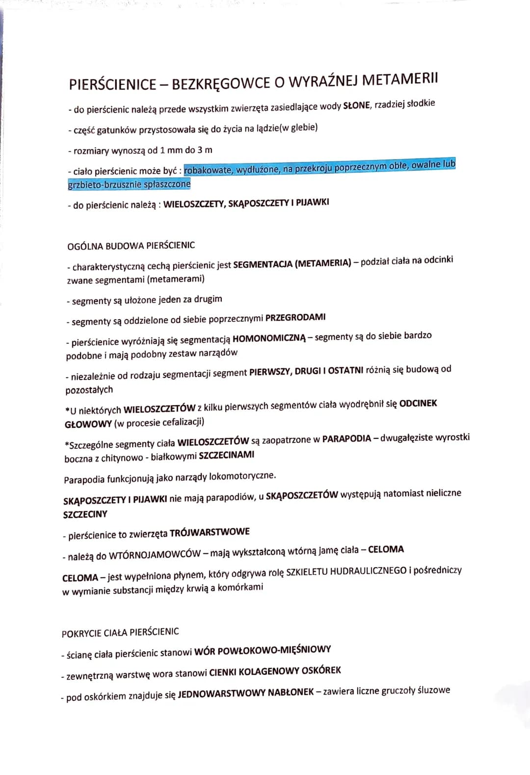 PIERŚCIENICE - BEZKRĘGOWCE O WYRAŹNEJ METAMERII
- do pierścienic należą przede wszystkim zwierzęta zasiedlające wody SŁONE, rzadziej słodkie