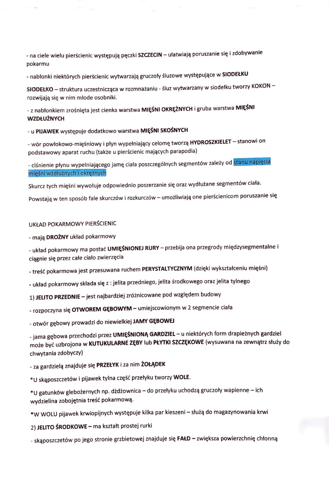 PIERŚCIENICE - BEZKRĘGOWCE O WYRAŹNEJ METAMERII
- do pierścienic należą przede wszystkim zwierzęta zasiedlające wody SŁONE, rzadziej słodkie