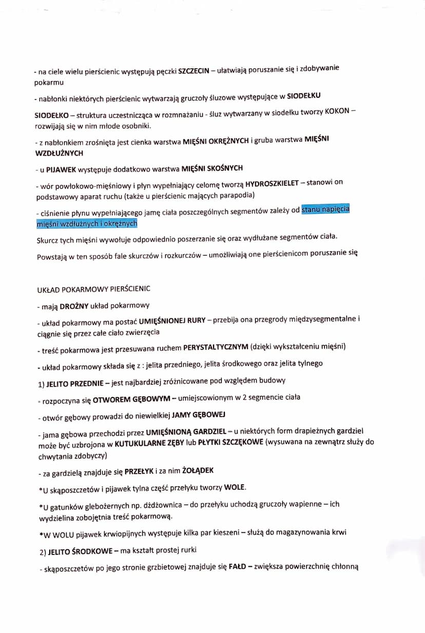 PIERŚCIENICE - BEZKRĘGOWCE O WYRAŹNEJ METAMERII
- do pierścienic należą przede wszystkim zwierzęta zasiedlające wody SŁONE, rzadziej słodkie