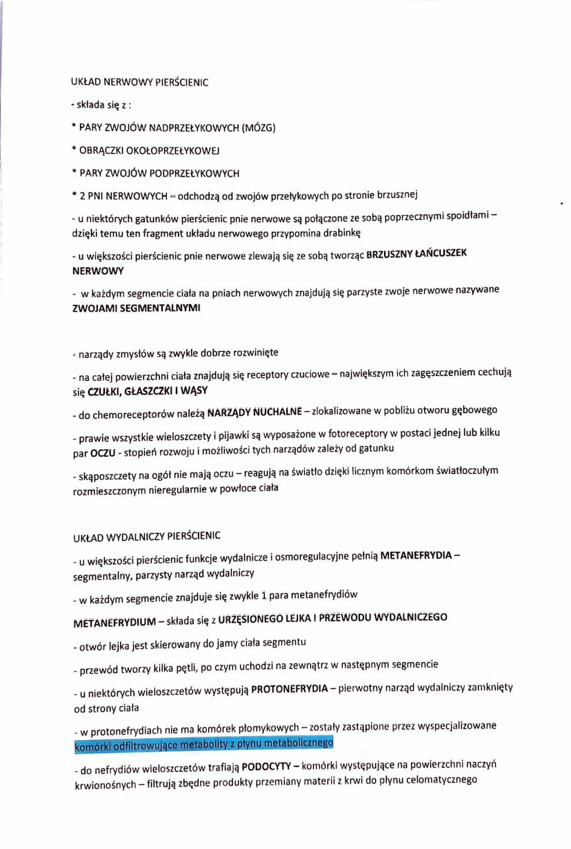 PIERŚCIENICE - BEZKRĘGOWCE O WYRAŹNEJ METAMERII
- do pierścienic należą przede wszystkim zwierzęta zasiedlające wody SŁONE, rzadziej słodkie