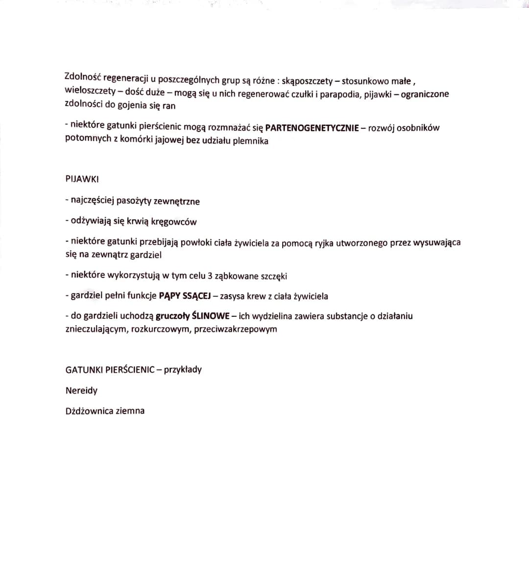 PIERŚCIENICE - BEZKRĘGOWCE O WYRAŹNEJ METAMERII
- do pierścienic należą przede wszystkim zwierzęta zasiedlające wody SŁONE, rzadziej słodkie