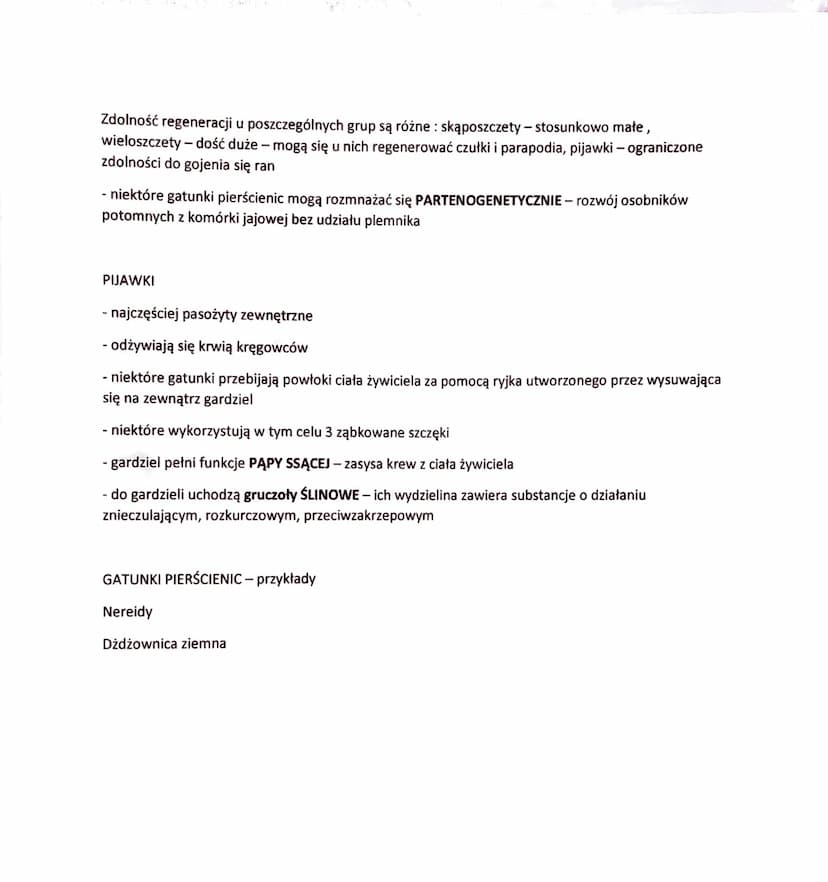 PIERŚCIENICE - BEZKRĘGOWCE O WYRAŹNEJ METAMERII
- do pierścienic należą przede wszystkim zwierzęta zasiedlające wody SŁONE, rzadziej słodkie