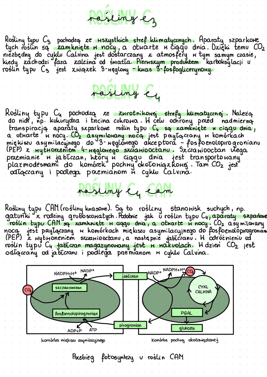 aaxymianic autotrofiezne
Odzywianie autotroficzne - proces anaboliczny, który polega na wytwarzaniu
złożonych związków organicznych z prosty