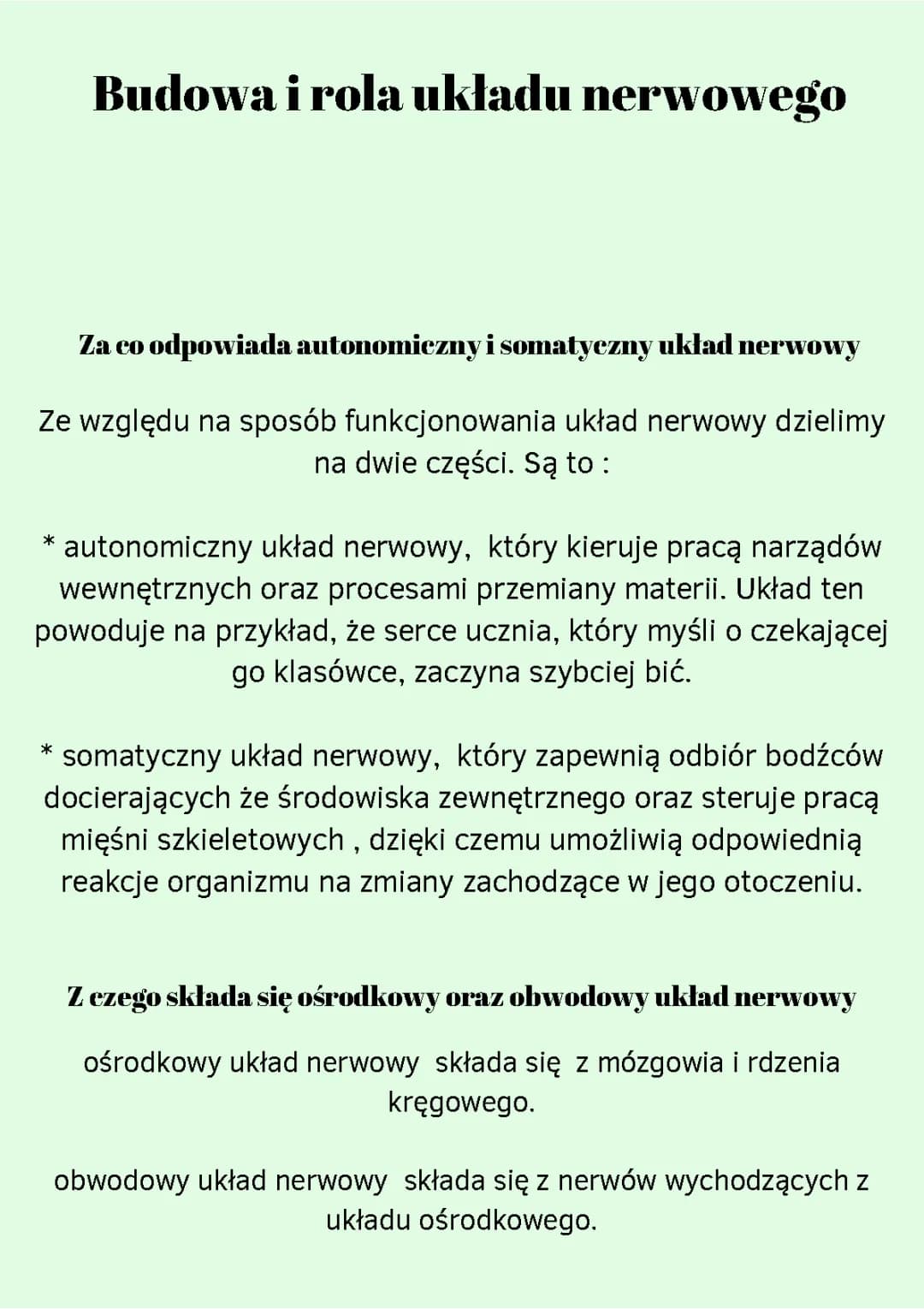 Budowa i Funkcje Układu Nerwowego