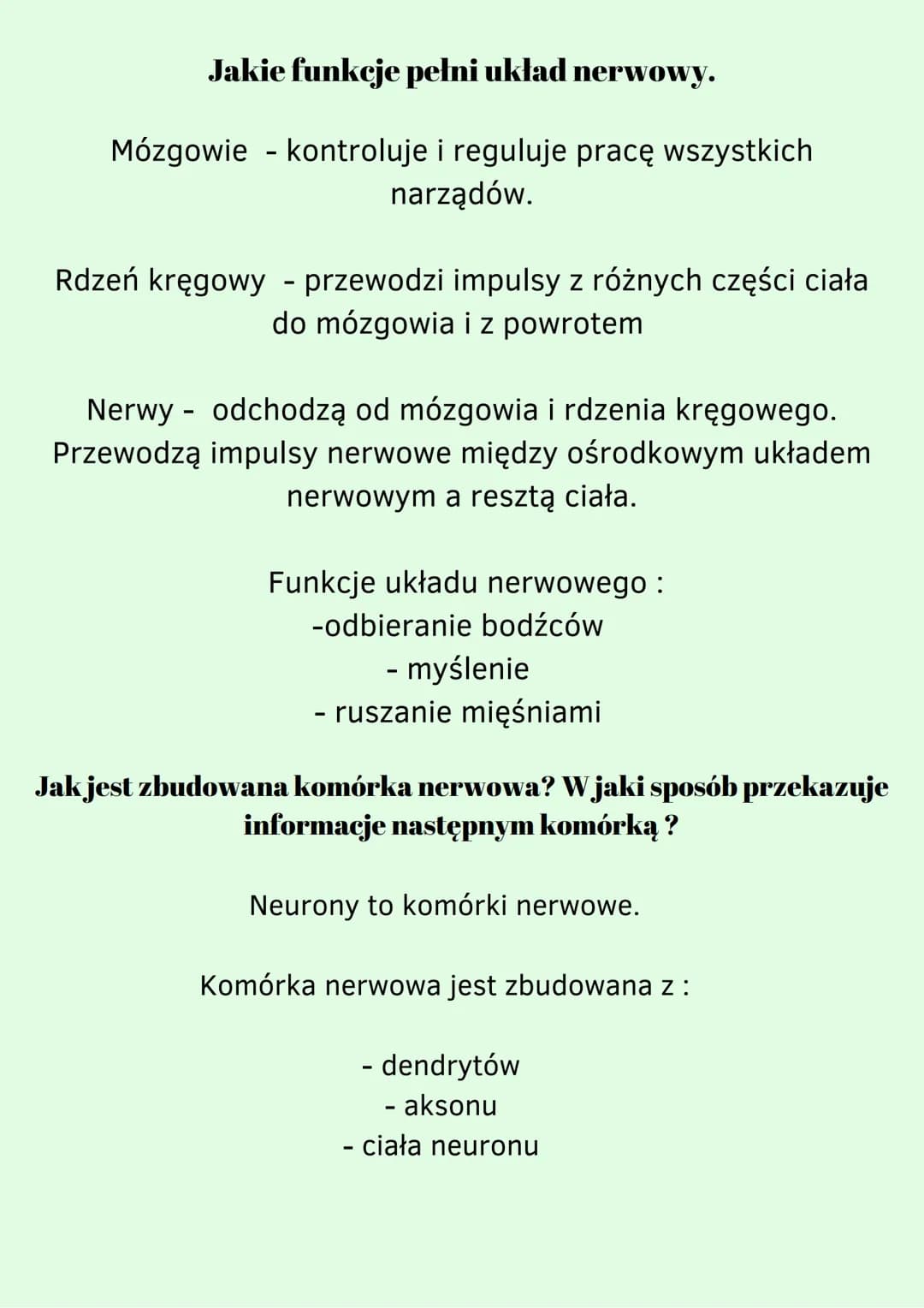 Za co odpowiada autonomiczny i somatyczny układ nerwowy
Ze względu na sposób funkcjonowania układ nerwowy dzielimy
na dwie części. Są to :
B