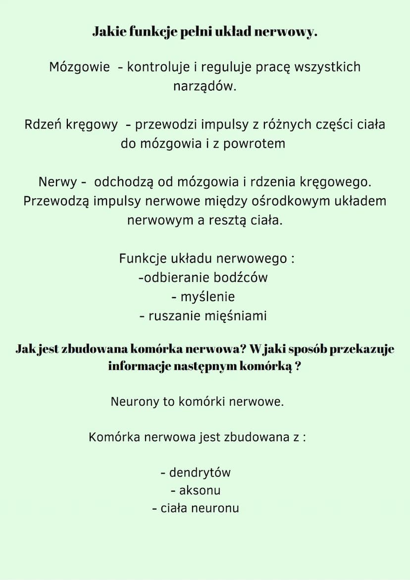 Za co odpowiada autonomiczny i somatyczny układ nerwowy
Ze względu na sposób funkcjonowania układ nerwowy dzielimy
na dwie części. Są to :
B