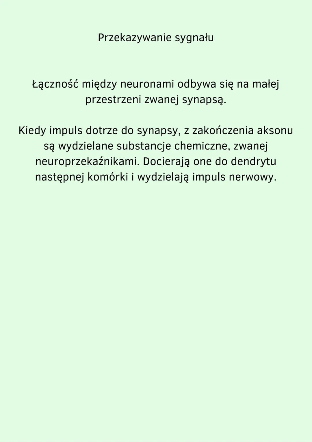 Za co odpowiada autonomiczny i somatyczny układ nerwowy
Ze względu na sposób funkcjonowania układ nerwowy dzielimy
na dwie części. Są to :
B