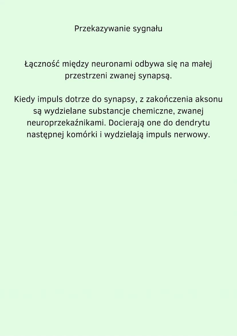 Za co odpowiada autonomiczny i somatyczny układ nerwowy
Ze względu na sposób funkcjonowania układ nerwowy dzielimy
na dwie części. Są to :
B