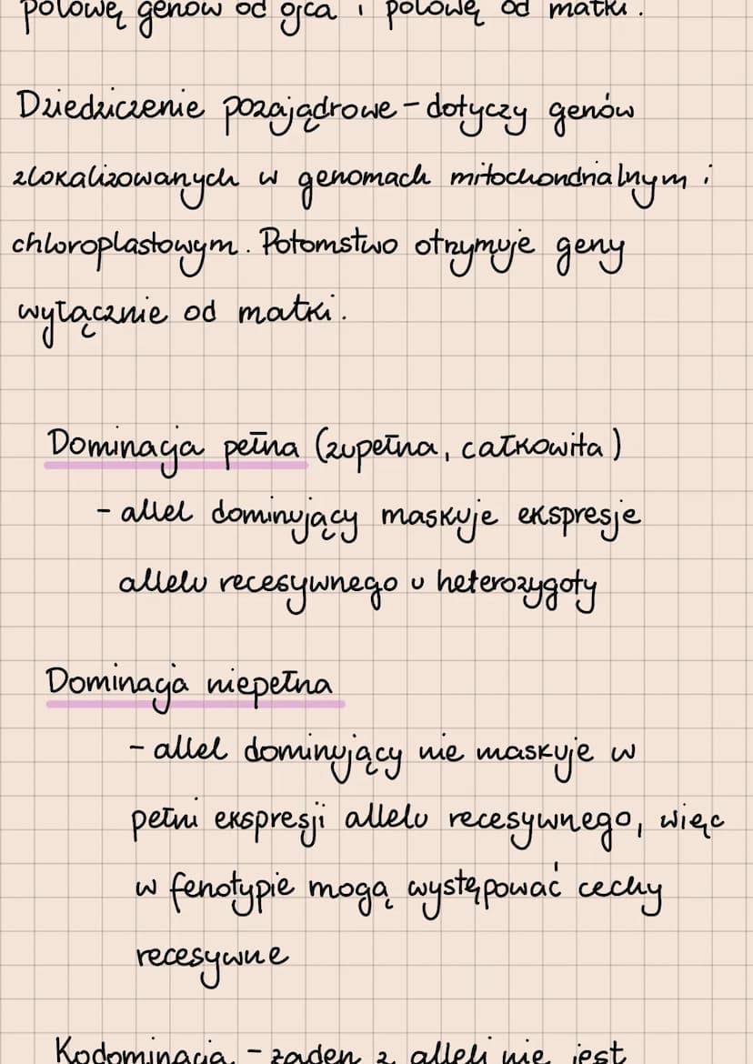 Dziedziczenie cech
gen-podstawowa jednostka dziedziczenia
allel - jedna z wersji genu warunkująca
wykształcenie jakiejś cechy,
allele dzieli