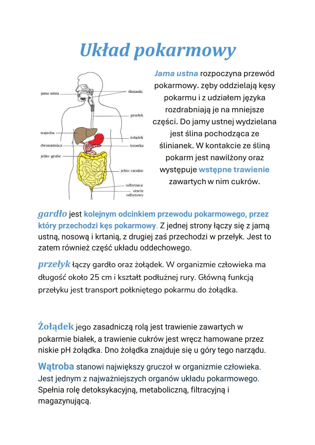 # Układ pokarmowy

Slinianki

jama ustna

wątroba

dwunastnica

jelito grube

przełyk

żołądek

trzustka

jelito cienkie

odbytnica
otwór
od