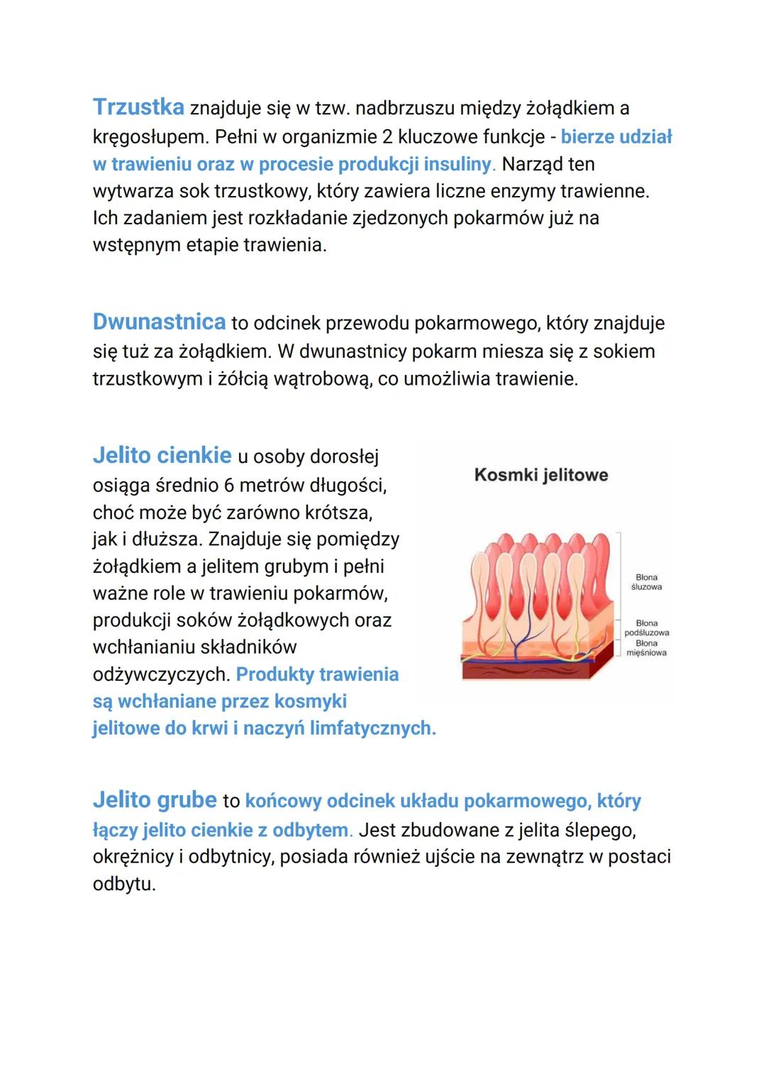 # Układ pokarmowy

Slinianki

jama ustna

wątroba

dwunastnica

jelito grube

przełyk

żołądek

trzustka

jelito cienkie

odbytnica
otwór
od