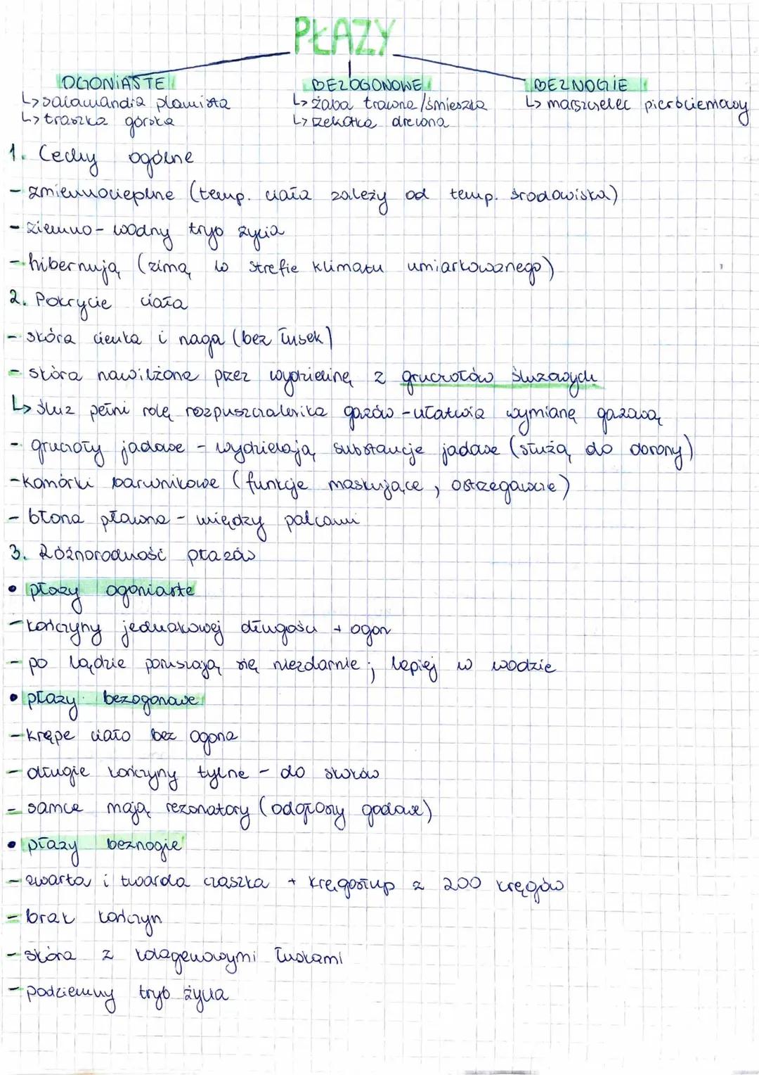 # PLAZY

OGONIASTE
>saiamandia plamiaz
Lytraszka goroka

BEZOGONOWE
Žaba trawne/śmiesza
Ly Rekotke drecono

BEZNOGIE
> marszczelec pieróciem