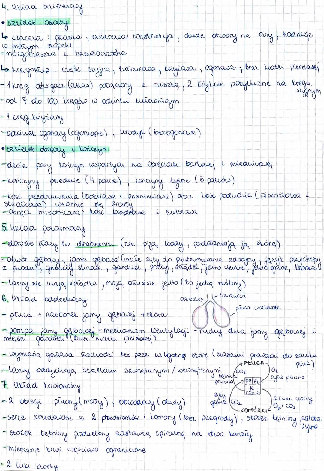 # PLAZY

OGONIASTE
>saiamandia plamiaz
Lytraszka goroka

BEZOGONOWE
Žaba trawne/śmiesza
Ly Rekotke drecono

BEZNOGIE
> marszczelec pieróciem