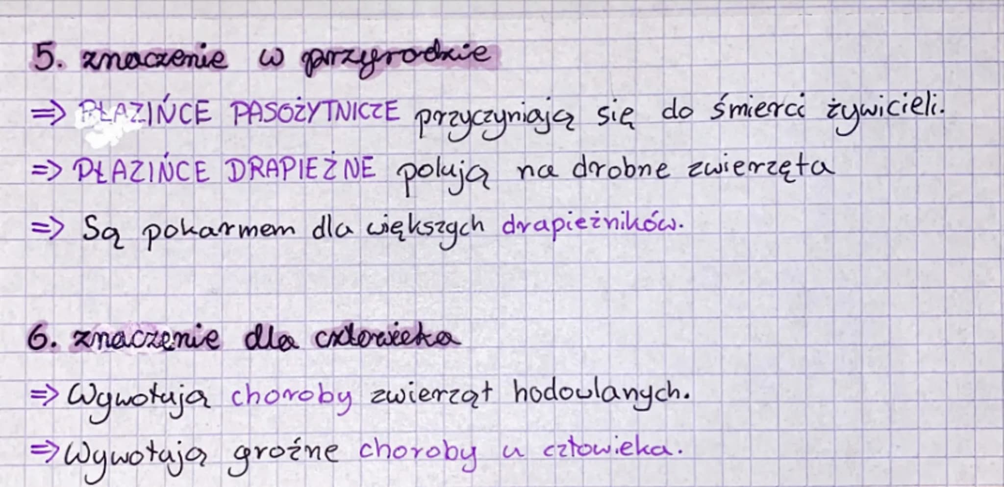 biologia pierścienice
7. miejsce zamieszkania i wygląd
⇒ Większość żyje w morzach i oceanuch, głównie w glebie.
=> Maja wydłużone, walcowane
