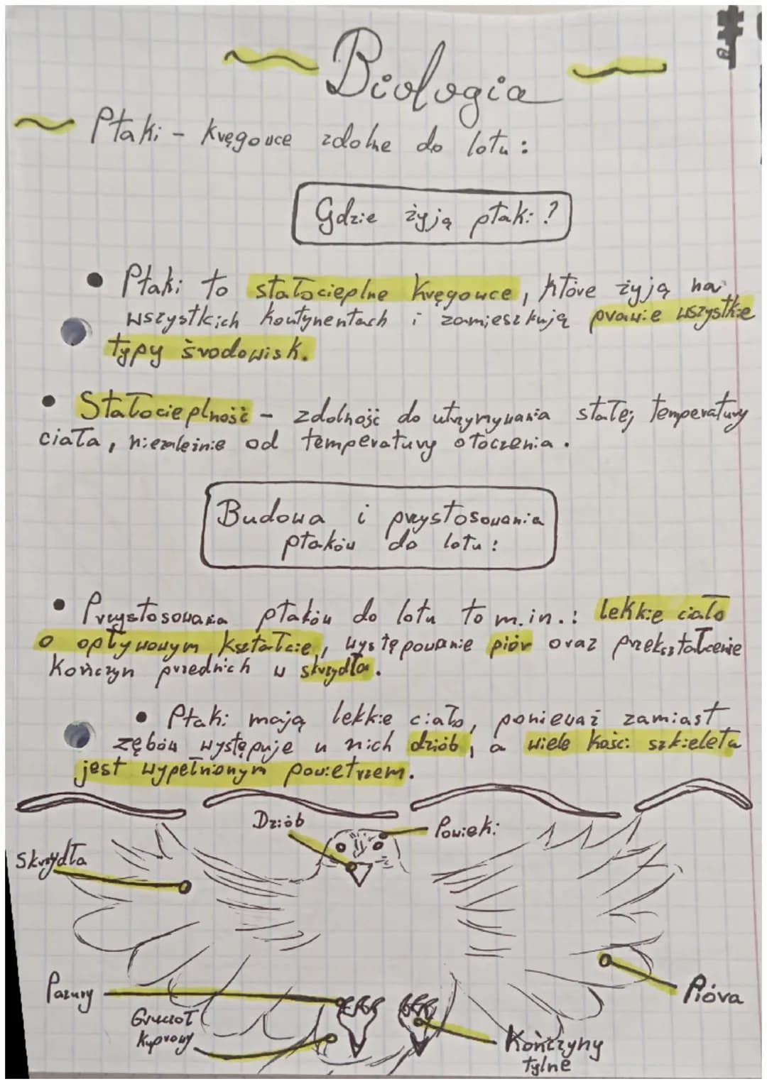 •
Biologia
Ptaki - kvegouce dome do lotu:
Gdzie żyją płaki?
T
Ptaki to stała cieplne kręgowce, które żyją na
wszystkich kontynentach : zamie