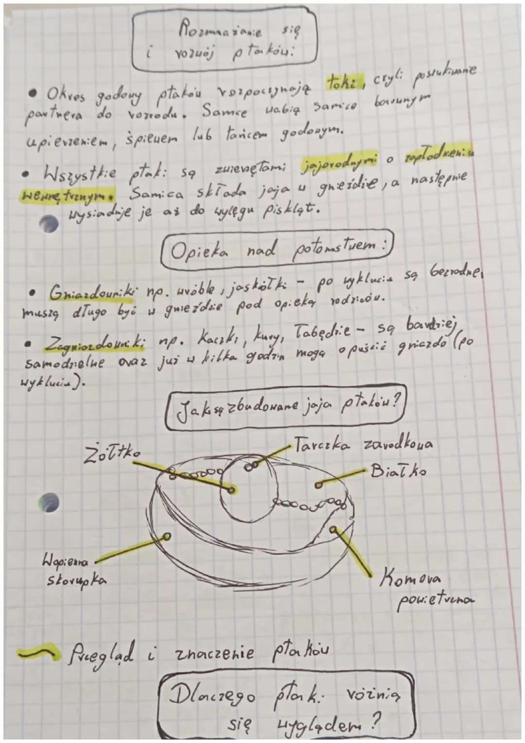 •
Biologia
Ptaki - kvegouce dome do lotu:
Gdzie żyją płaki?
T
Ptaki to stała cieplne kręgowce, które żyją na
wszystkich kontynentach : zamie