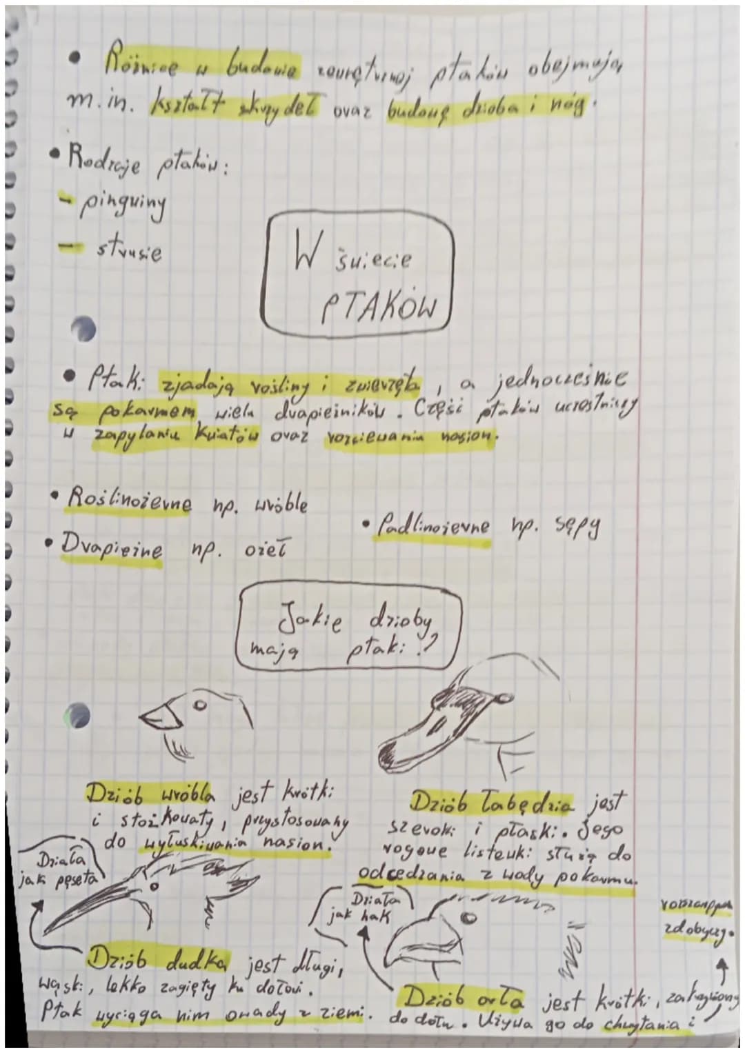 •
Biologia
Ptaki - kvegouce dome do lotu:
Gdzie żyją płaki?
T
Ptaki to stała cieplne kręgowce, które żyją na
wszystkich kontynentach : zamie