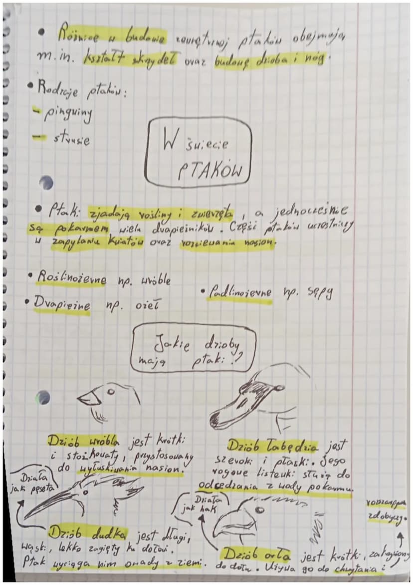 •
Biologia
Ptaki - kvegouce dome do lotu:
Gdzie żyją płaki?
T
Ptaki to stała cieplne kręgowce, które żyją na
wszystkich kontynentach : zamie
