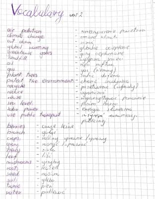 Know Vocabulary the environment and plants brainy 8 thumbnail