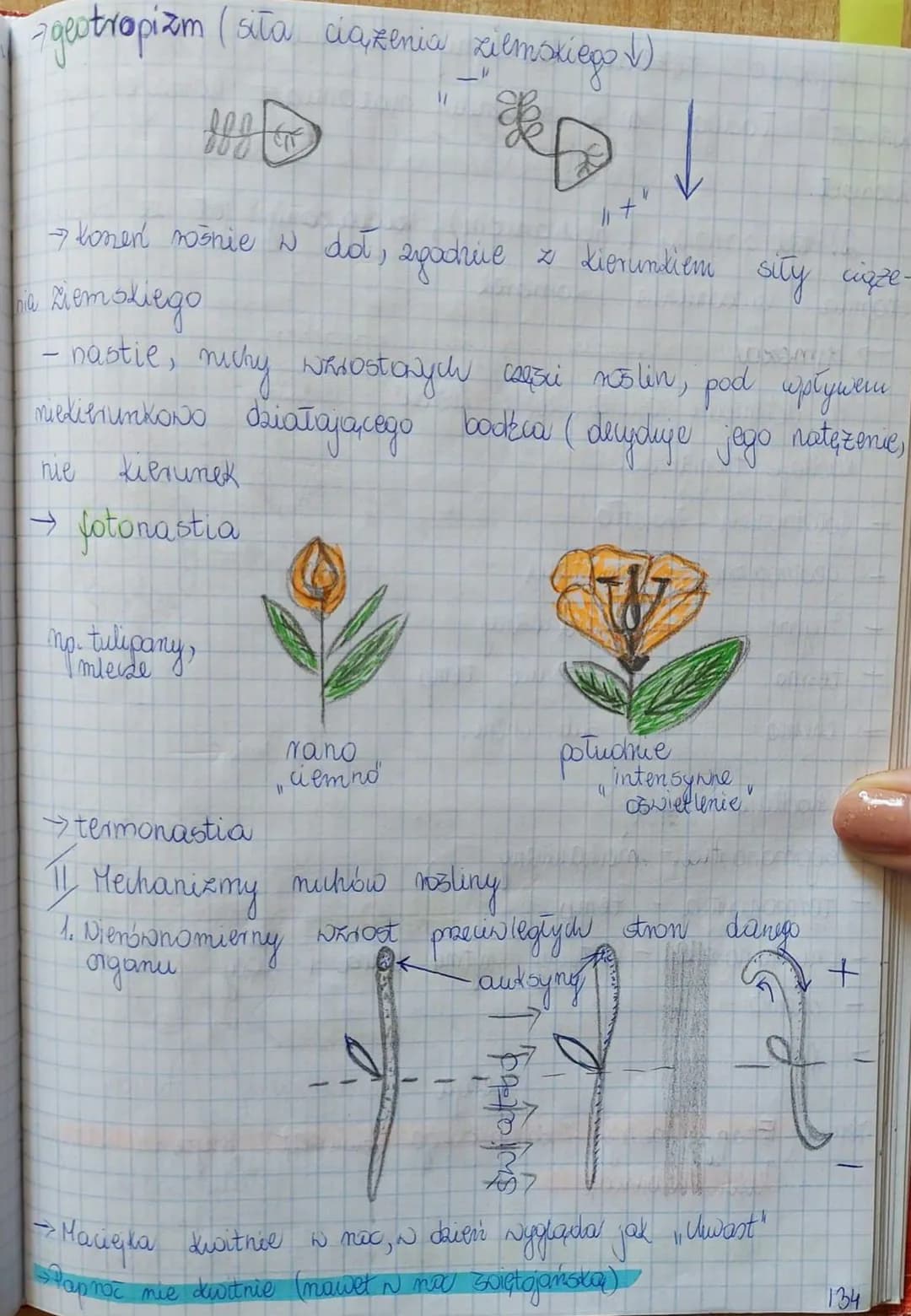 Lekja
Temat: Quity moslin ich reakcjami na bodice
→ Podkial układ nenochy, brak układu
Kiedy's
bodzie
→ Dosting a wrazline na bodźce
✓ Wymie