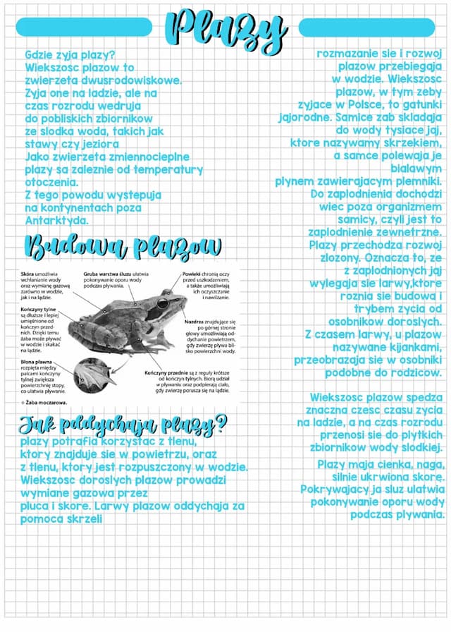 Know Płazy - kręgowce wodno-lądowe thumbnail