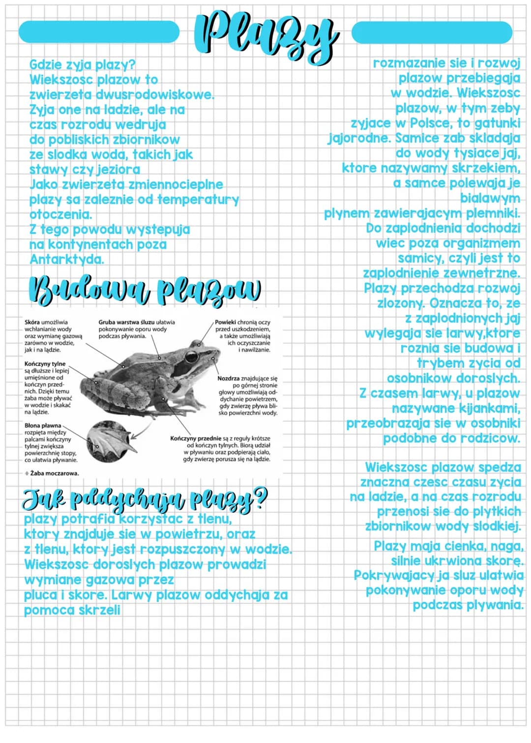 Gdzie zyja plazy?
Wiekszosc plazow to
zwierzeta dwusrodowiskowe.
Zyja one na ladzie, ale na
czas rozrodu wedruja
do pobliskich zbiornikow
ze