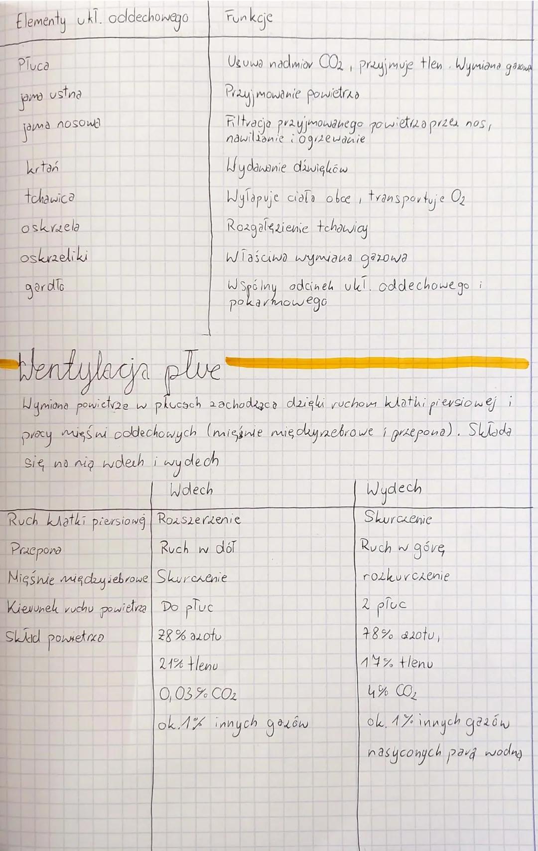 Uklad oddechowy
*prawe płuco jest
WIĘKSZE
Pęcherzyk płucny
tętniczka
transportująca
krew połączona z CO₂
3 pisty
2 platy
pęcherzyki
płucne
-