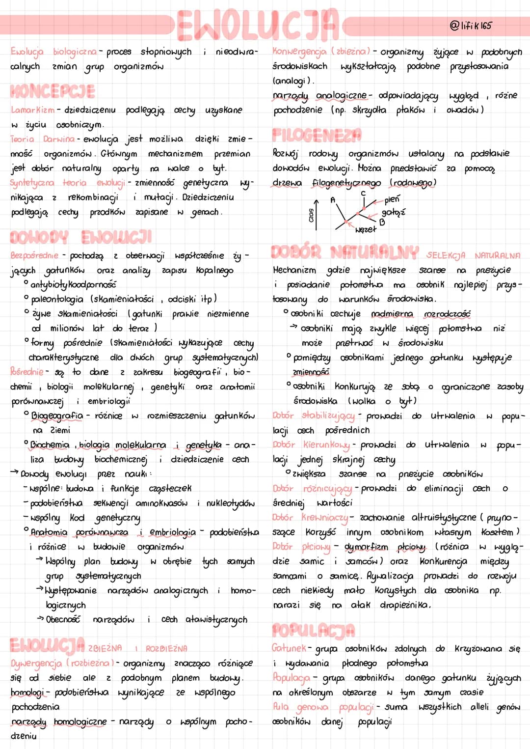 Ewolucja biologiczna-proces stopniowych i nieodwra-
calnych zmian grup organizmów
EWOLUCJA
HONCEPCJE
Lamarkizm - dziedziczeniu podlegają cec