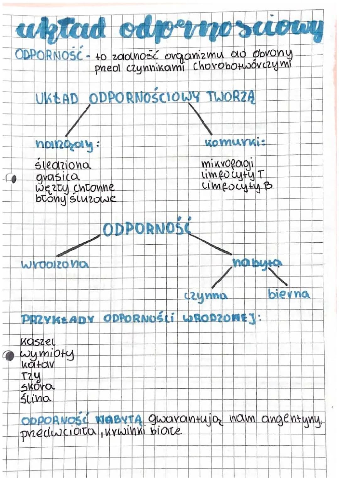 Jak działa nasz układ odpornościowy? Szczepionki i surowice w porównaniu