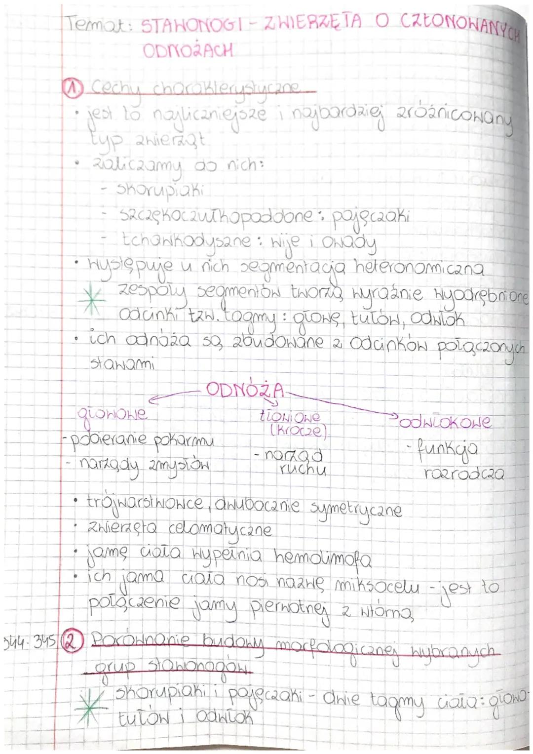 Temat: STAWONOGI - ZWIERZĘTA O CZŁONOWANYCH
ODNOŻACH
@ Cechy charakterystyczne...
jest to najliczniejsze i najbardziej zróżnicowany
typ awie