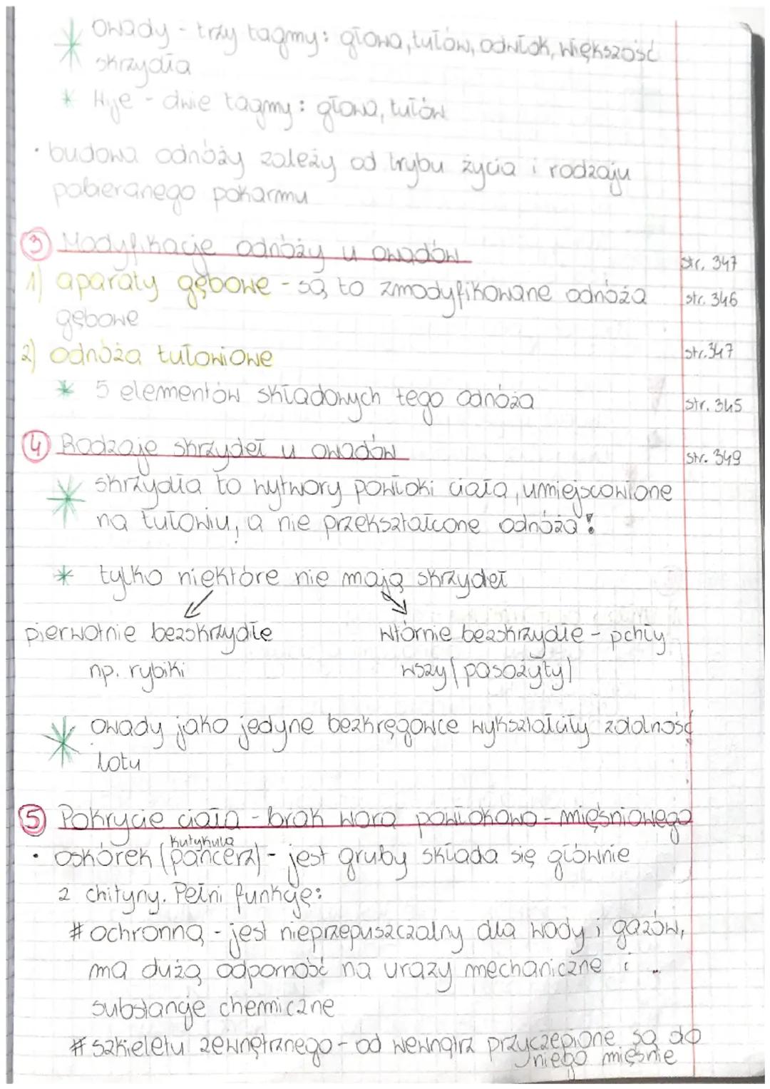 Temat: STAWONOGI - ZWIERZĘTA O CZŁONOWANYCH
ODNOŻACH
@ Cechy charakterystyczne...
jest to najliczniejsze i najbardziej zróżnicowany
typ awie