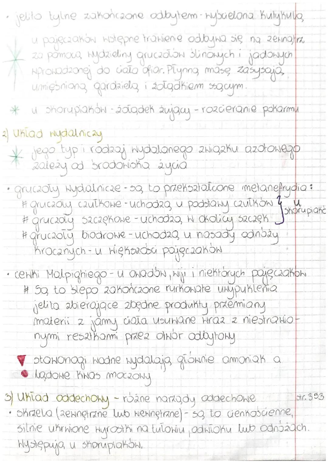 Temat: STAWONOGI - ZWIERZĘTA O CZŁONOWANYCH
ODNOŻACH
@ Cechy charakterystyczne...
jest to najliczniejsze i najbardziej zróżnicowany
typ awie