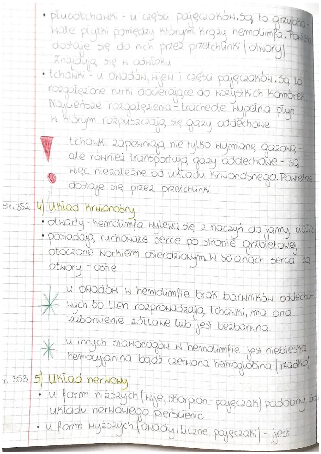 Temat: STAWONOGI - ZWIERZĘTA O CZŁONOWANYCH
ODNOŻACH
@ Cechy charakterystyczne...
jest to najliczniejsze i najbardziej zróżnicowany
typ awie