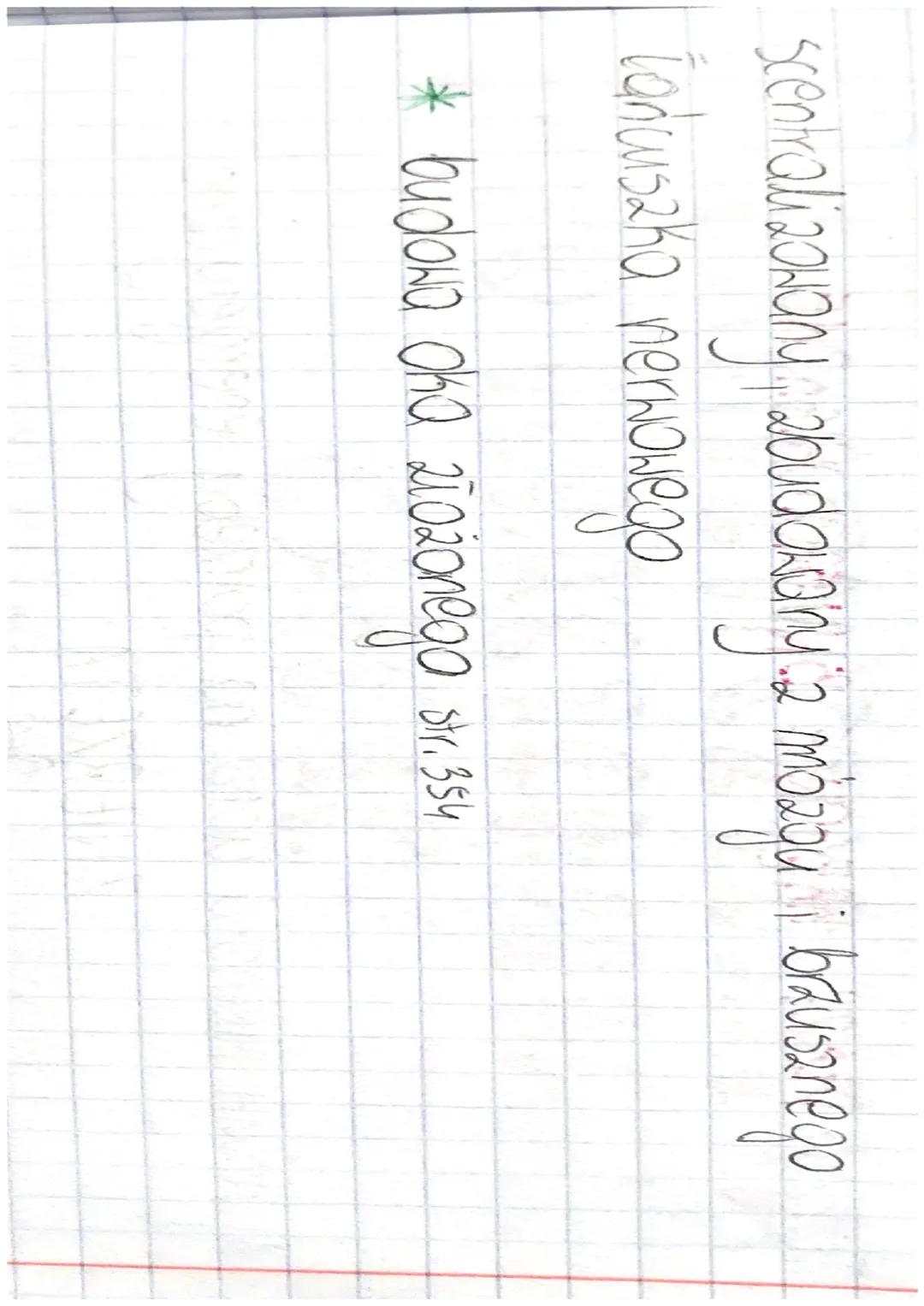 Temat: STAWONOGI - ZWIERZĘTA O CZŁONOWANYCH
ODNOŻACH
@ Cechy charakterystyczne...
jest to najliczniejsze i najbardziej zróżnicowany
typ awie