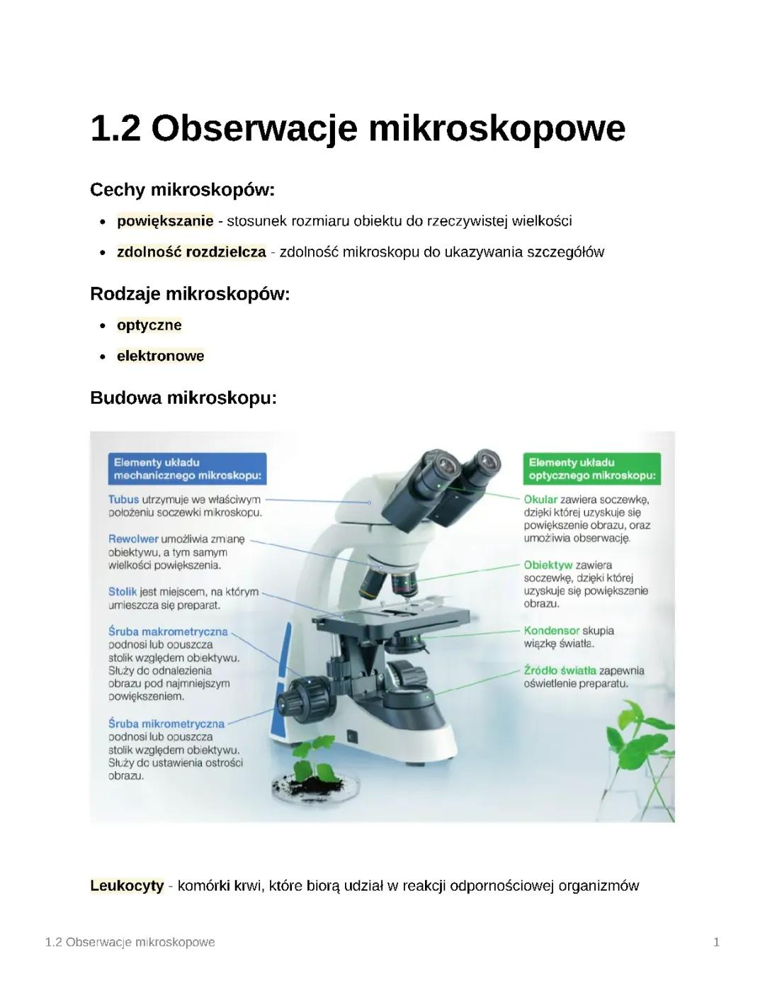Obserwacje mikroskopowe 