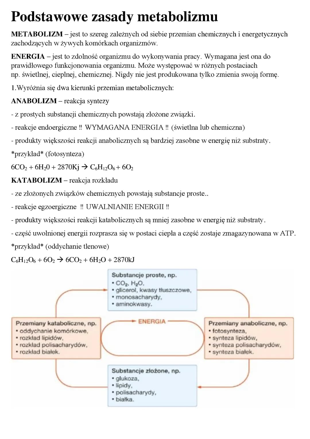 Podstawowe zasady metabolizmu